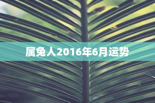 属兔人2016年6月运势