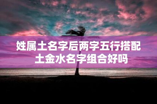 姓属土名字后两字五行搭配 土金水名字组合好吗