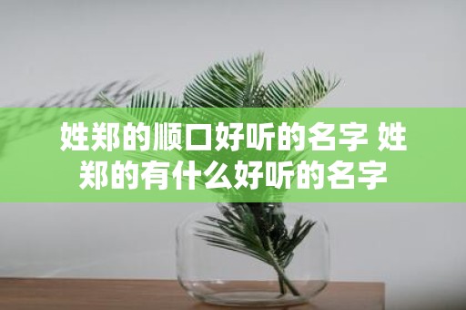 姓郑的顺口好听的名字 姓郑的有什么好听的名字