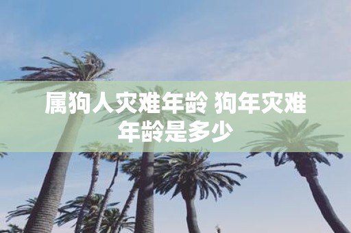 属狗人灾难年龄 狗年灾难年龄是多少
