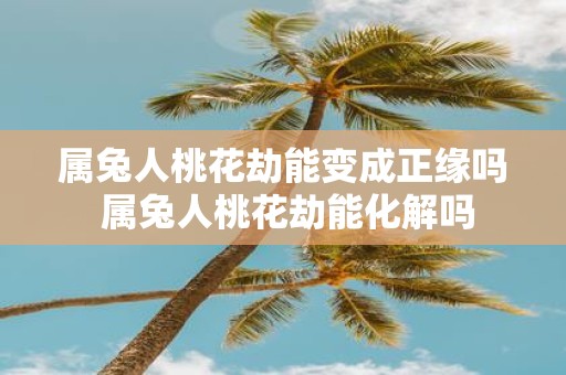 属兔人桃花劫能变成正缘吗 属兔人桃花劫能化解吗