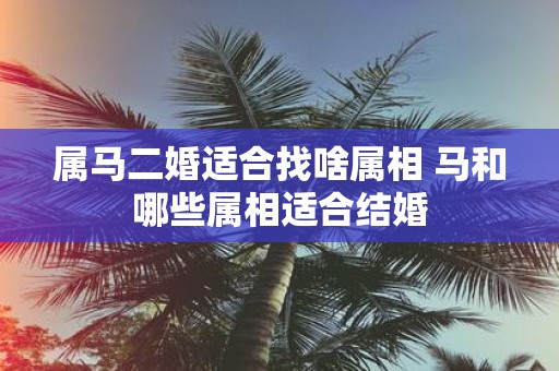 属马二婚适合找啥属相 马和哪些属相适合结婚