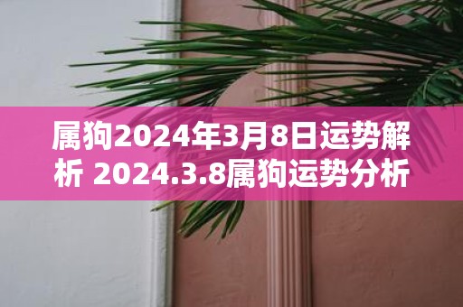 属狗2025年3月8日运势解析 2025.3.8属狗运势分析