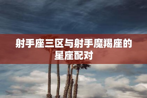 射手座三区与射手魔羯座的星座配对