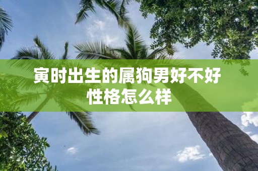 寅时出生的属狗男好不好 性格怎么样