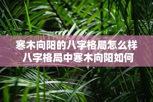 寒木向阳的八字格局怎么样 八字格局中寒木向阳如何