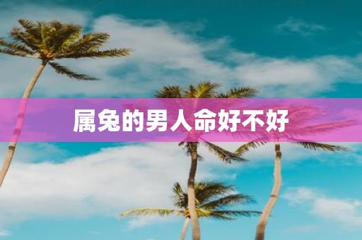 属兔的男人命好不好