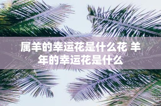属羊的幸运花是什么花 羊年的幸运花是什么