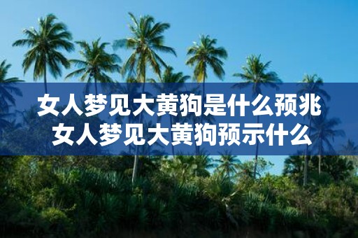 女人梦见大黄狗是什么预兆 女人梦见大黄狗预示什么