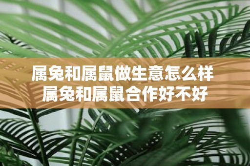 属兔和属鼠做生意怎么样 属兔和属鼠合作好不好
