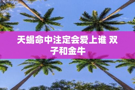 天蝎命中注定会爱上谁 双子和金牛