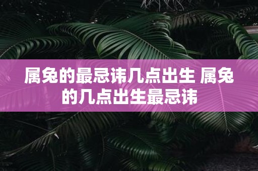 属兔的最忌讳几点出生 属兔的几点出生最忌讳