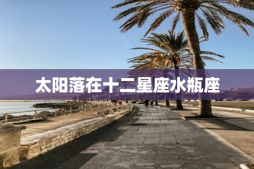 太阳落在十二星座水瓶座