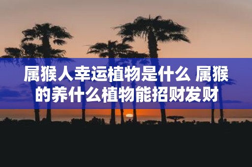 属猴人幸运植物是什么 属猴的养什么植物能招财发财