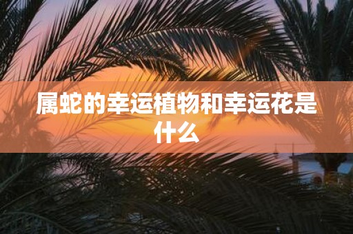 属蛇的幸运植物和幸运花是什么