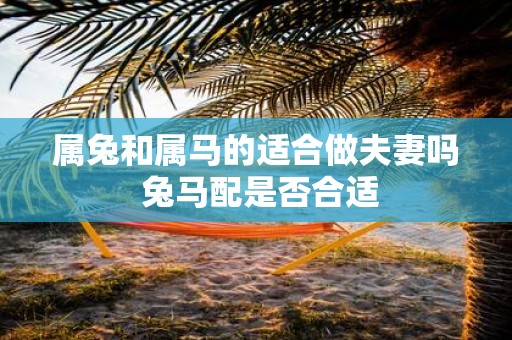 属兔和属马的适合做夫妻吗 兔马配是否合适