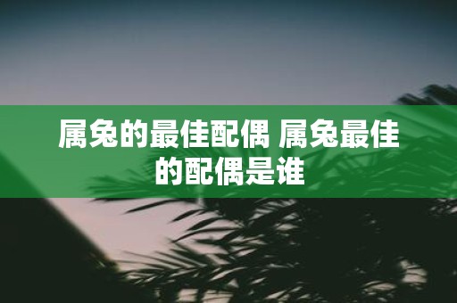 属兔的最佳配偶 属兔最佳的配偶是谁