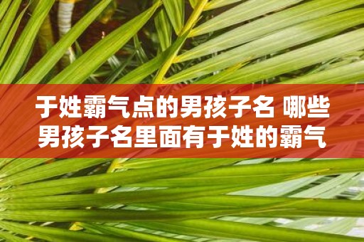 于姓霸气点的男孩子名 哪些男孩子名里面有于姓的霸气
