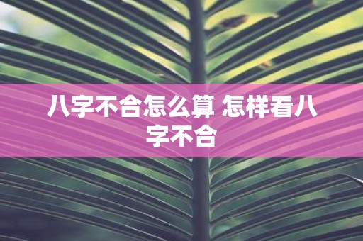 八字不合怎么算 怎样看八字不合