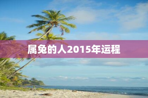 属兔的人2015年运程
