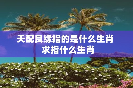 天配良缘指的是什么生肖 求指什么生肖
