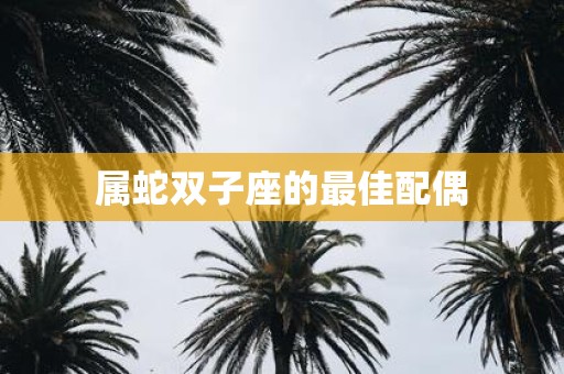 属蛇双子座的最佳配偶