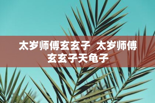 太岁师傅玄玄子 太岁师傅玄玄子天龟子