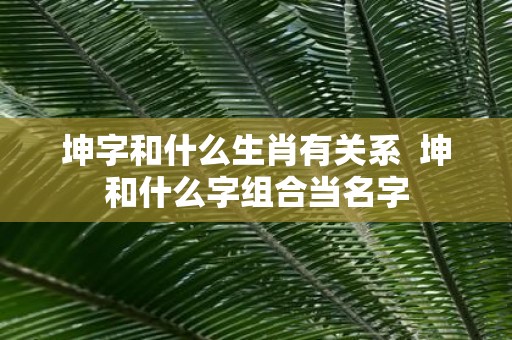 坤字和什么生肖有关系 坤和什么字组合当名字