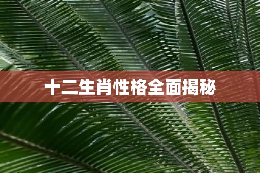 十二生肖性格全面揭秘