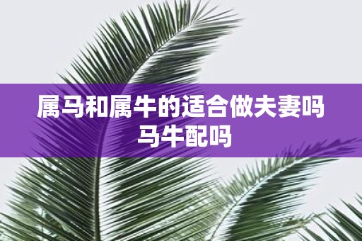 属马和属牛的适合做夫妻吗 马牛配吗