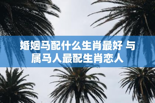 婚姻马配什么生肖最好 与属马人最配生肖恋人