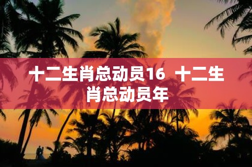 十二生肖总动员16 十二生肖总动员年