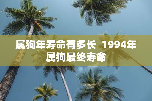 属狗年寿命有多长 1994年属狗最终寿命