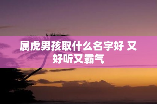 属虎男孩取什么名字好 又好听又霸气