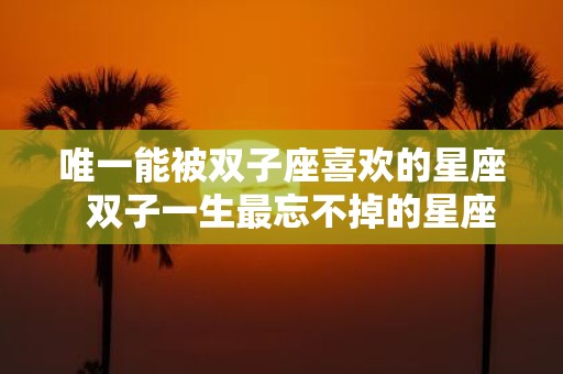 唯一能被双子座喜欢的星座 双子一生最忘不掉的星座