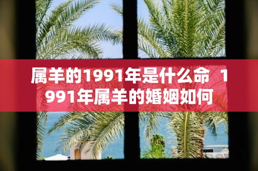属羊的1991年是什么命 1991年属羊的婚姻如何
