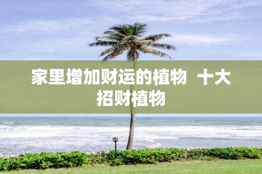 家里增加财运的植物 十大招财植物