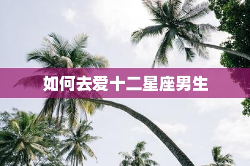 如何去爱十二星座男生