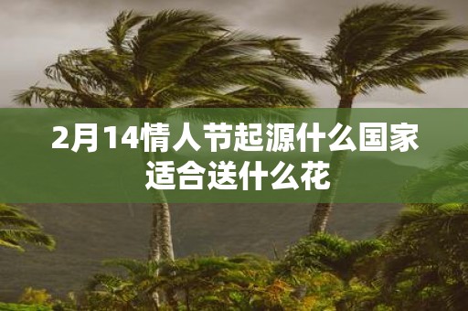 2月14情人节起源什么国家 适合送什么花