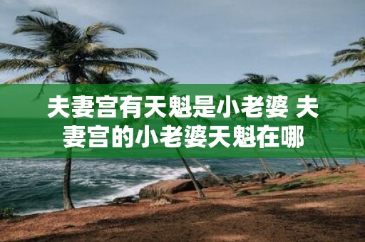 夫妻宫有天魁是小老婆 夫妻宫的小老婆天魁在哪