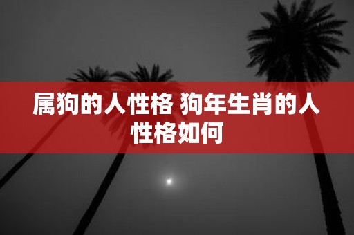 属狗的人性格 狗年生肖的人性格如何