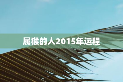 属猴的人2015年运程
