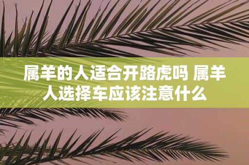 属羊的人适合开路虎吗 属羊人选择车应该注意什么