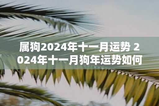 属狗2025年十一月运势 2025年十一月狗年运势如何