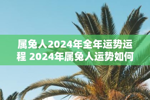 属兔人2025年全年运势运程 2025年属兔人运势如何