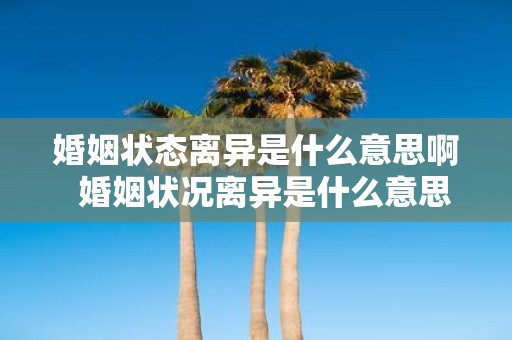 婚姻状态离异是什么意思啊 婚姻状况离异是什么意思