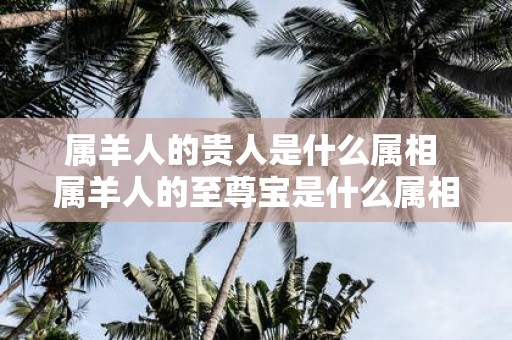 属羊人的贵人是什么属相 属羊人的至尊宝是什么属相