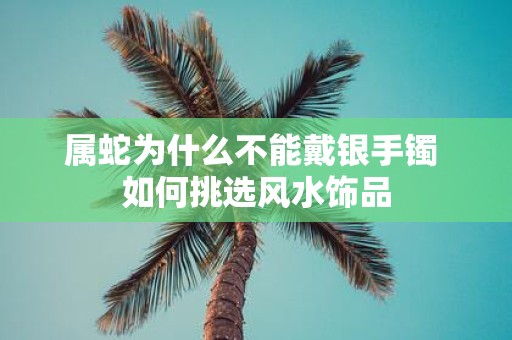 属蛇为什么不能戴银手镯 如何挑选风水饰品