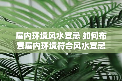 屋内环境风水宜忌 如何布置屋内环境符合风水宜忌