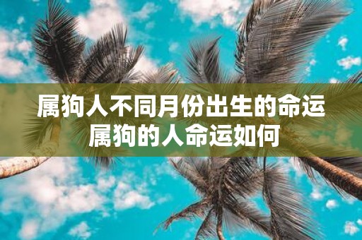 属狗人不同月份出生的命运 属狗的人命运如何